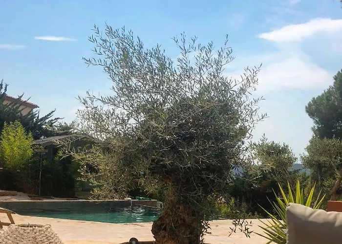 Homestay Bormes * Bormes-les-Mimosas